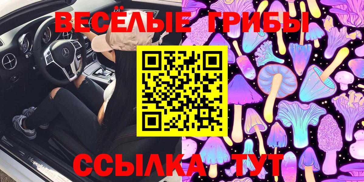Псилоцибиновые грибы мицелий Ногинск