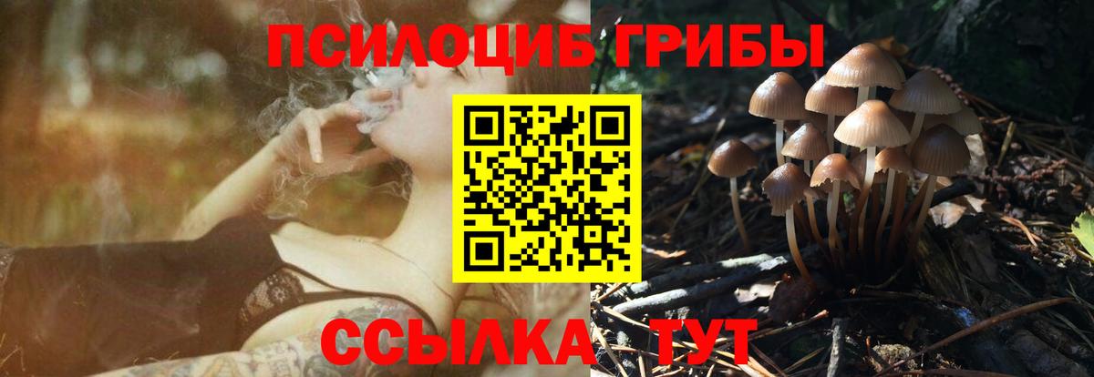 Галлюциногенные грибы прущие грибы  Вход с VPN  Ногинск 